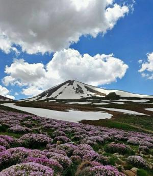 روز کوهستان (11 دسامبر)