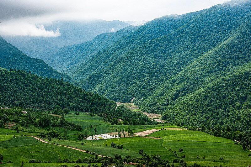 ۸ مرداد : روز ملی جنگل ها