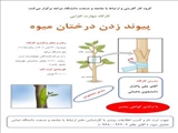 کارگاه مهارت افزایی